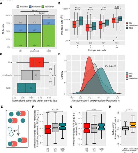 Kinetic Analysis of Protein Stability Reveals Age